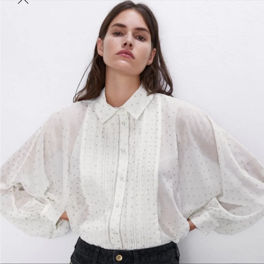 トップス Sheer Polka Dot Ribbon Blouse Zara | Tops | Zara Sheer Polka Dot Blouse | Poshmark